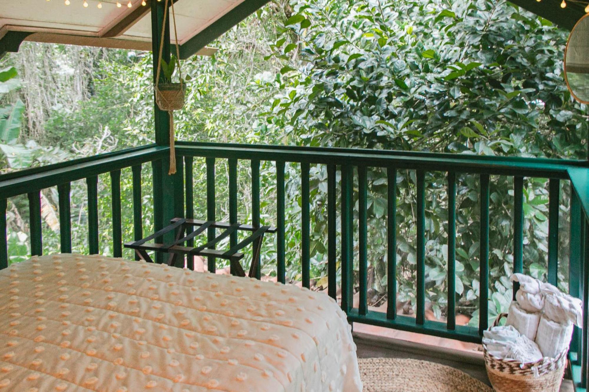 Bed and Breakfast Casa De Mono Bocas Big Creek Zewnętrze zdjęcie