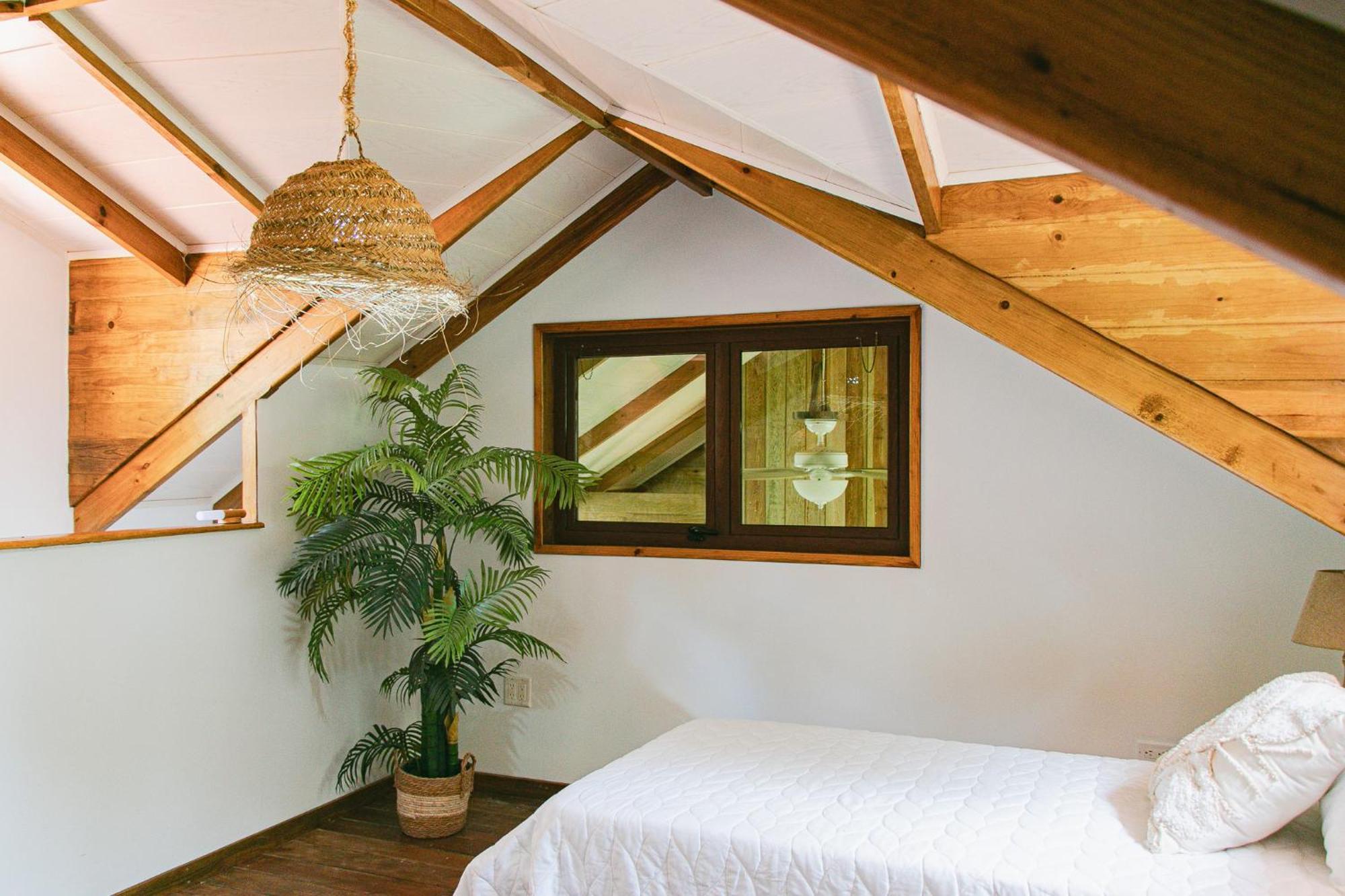 Bed and Breakfast Casa De Mono Bocas Big Creek Pokój zdjęcie