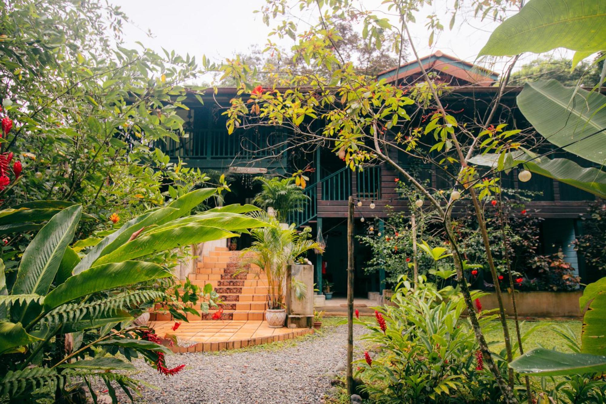 Bed and Breakfast Casa De Mono Bocas Big Creek Zewnętrze zdjęcie